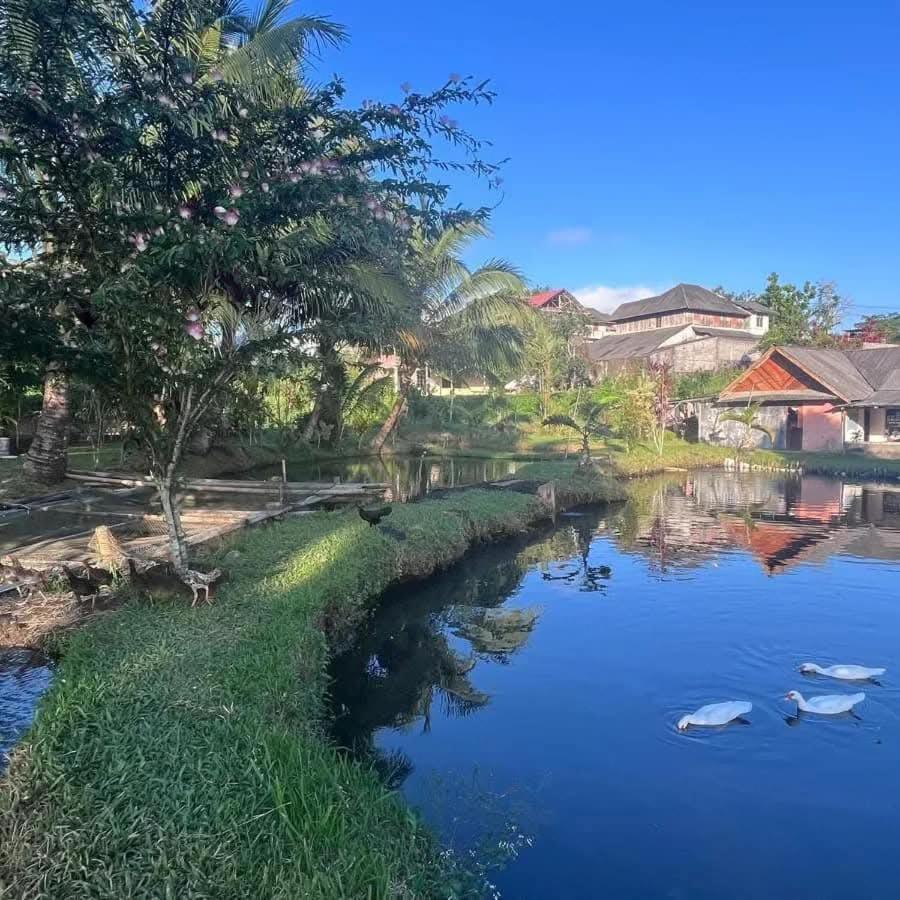 Talaga Tomohon Home Stay And Fishing Pond Exterior photo
